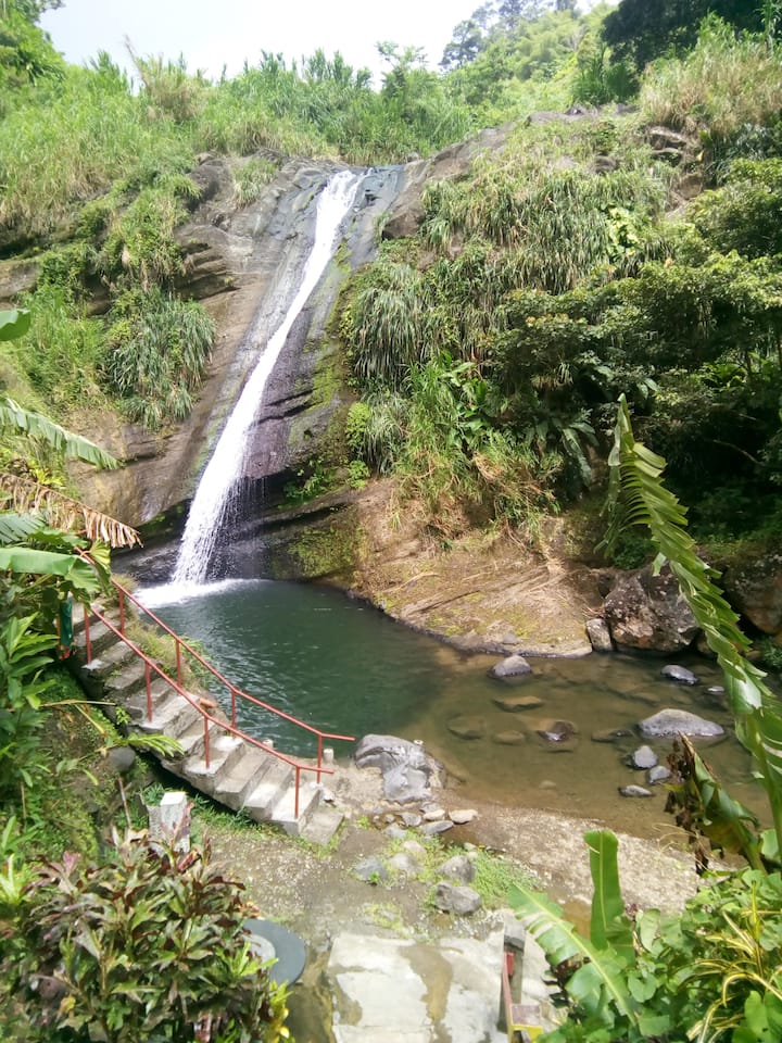 Concord Waterfall surrounded by lush greenery in St. John, Grenada