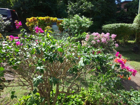 The flowering garden at Springle’s Quiet Place